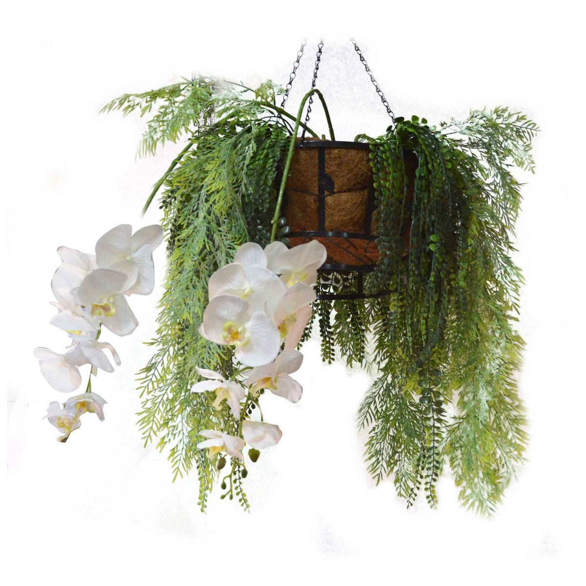 White Orchid & Cascading Plants - Hessian Basket