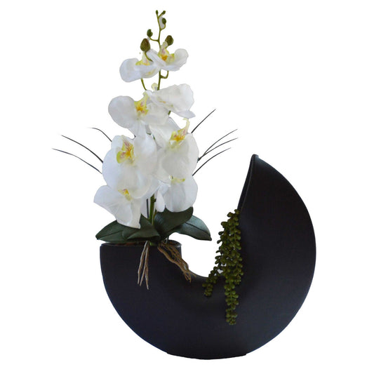 Orchid in Pipe Vase