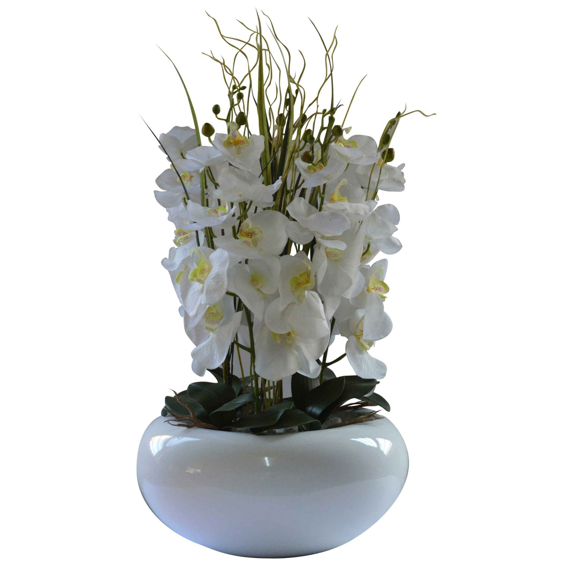 Orchid & Contorted Willow in Desktop Vase