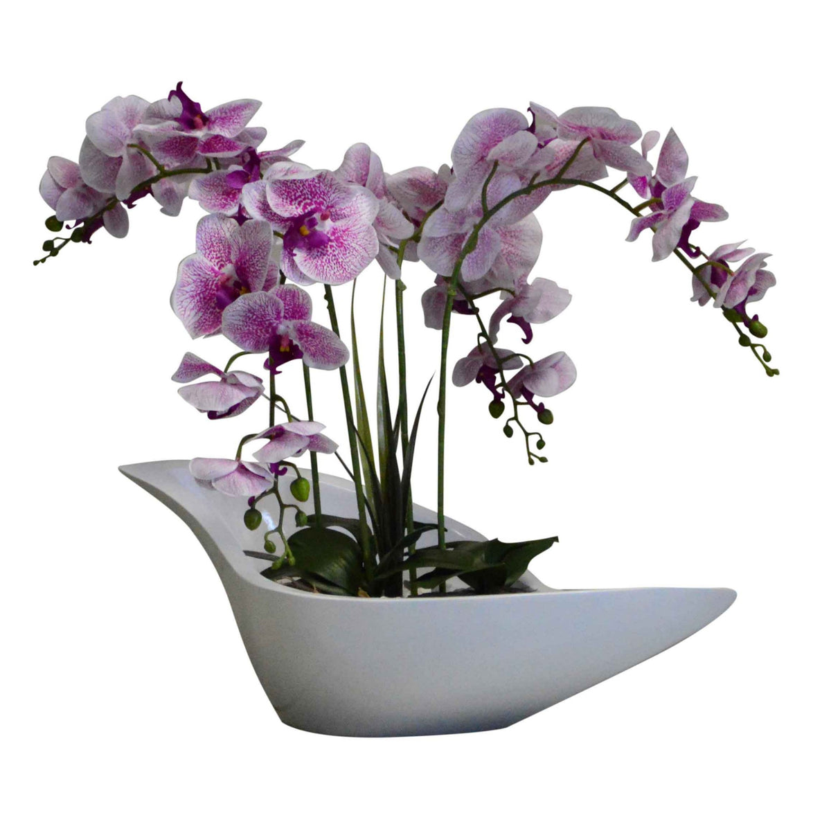 Speckled Pink Orchid
