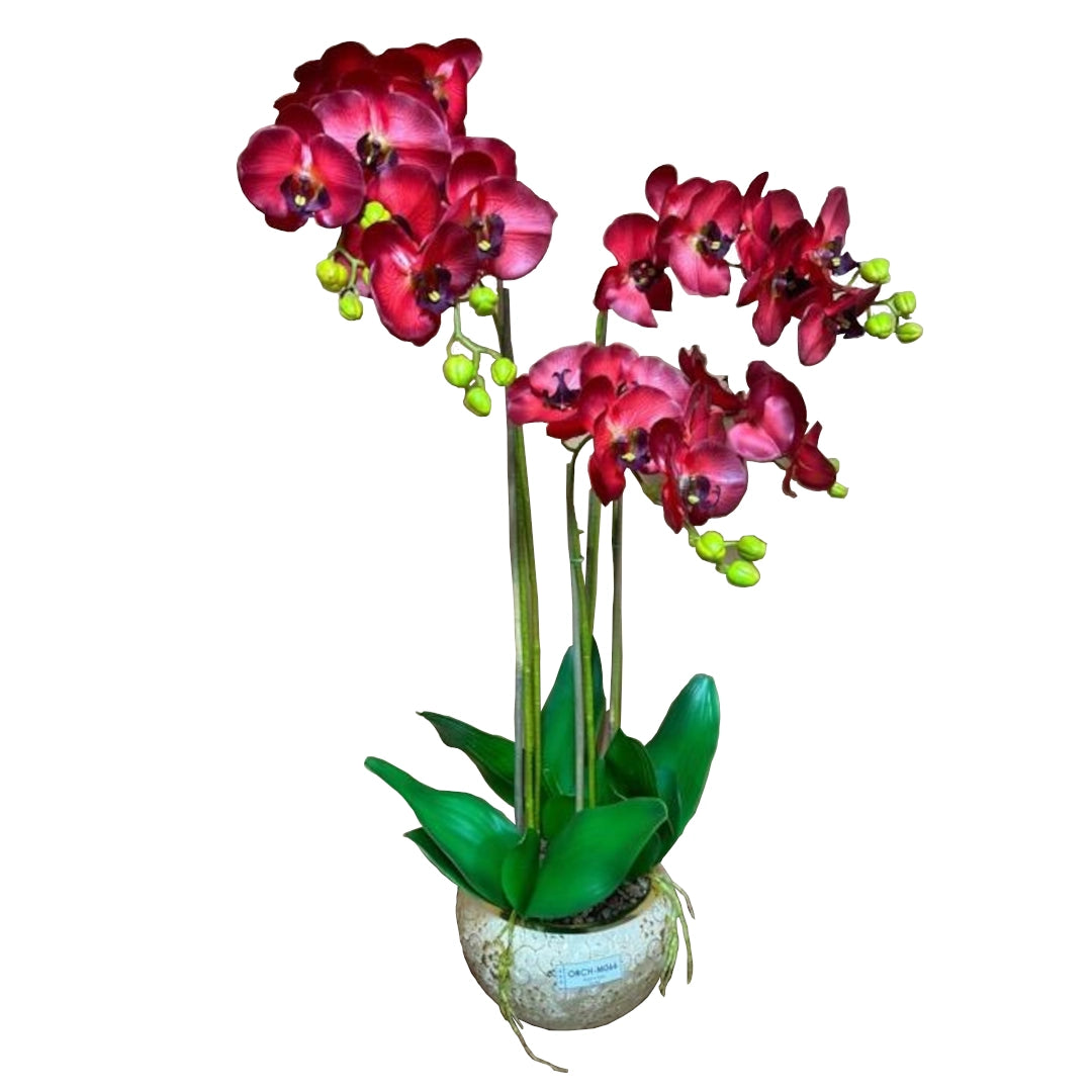 A Red plastic Orchid in a plant pot on a white background.