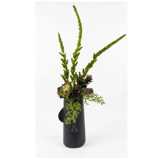 A black face vase with succulent plants on a white background