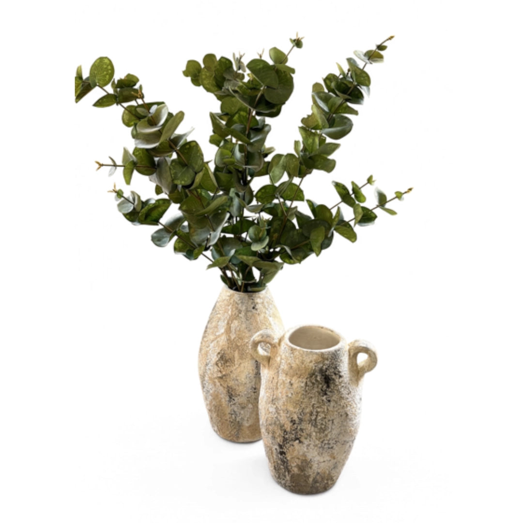 Two vases, one with a plant inside, on a white background