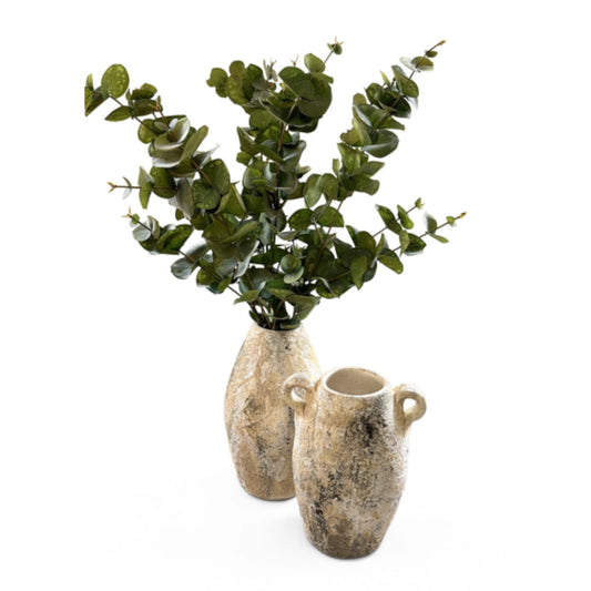 Two vases, one with a plant inside, on a white background