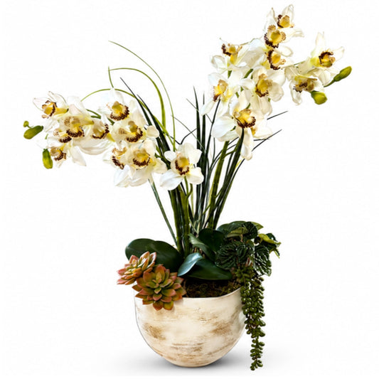 A vase with flowers on a white background