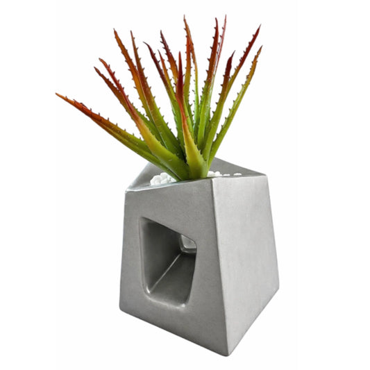 A vase with an aloe plant on a white background