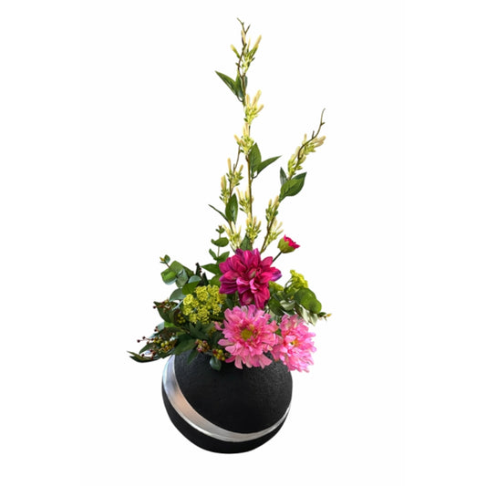 A floral arrangement featuring vibrant pink and magenta daisies, green foliage, and tall yellow-green sprigs, presented in a round black vase with a silver band, isolated on a white background.